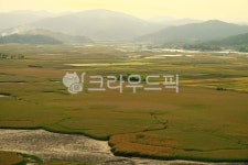 순천, 순천만, 순천만자연생태공원, 풍경, 습지, 사진,이미지,일러스트,캘리그라피 - 헬로짱작가 크라우드픽 - 저작권 걱정 없는 상업용 이미지