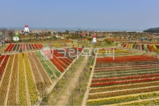 outdoors, 옥외, nature, 자연, field, 사진,이미지,일러스트,캘리그라피 - 영산공작가 크라우드픽 - 저작권 걱정 없는 상업용 이미지