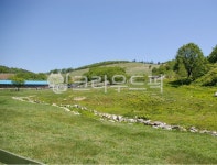 자연, 농장, 목장, 풀, 들판, 사진,이미지,일러스트,캘리그라피 - jiheyhoi작가 크라우드픽 - 저작권 걱정 없는 상업용 이미지