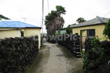 마을, 제주, 돌담, 지붕, 길, 사진,이미지,일러스트,캘리그라피 - 귀리작가 크라우드픽 - 저작권 걱정 없는 상업용 이미지