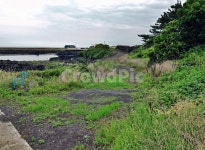 김녕농로, 제주, 올레19코스, 올레길, 밭, 사진,이미지,일러스트,캘리그라피 - Deep bLUE작가 크라우드픽 - 저작권 걱정 없는 상업용 이미지