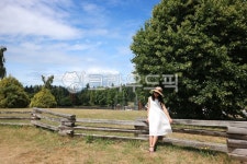 dress, 드레스, 초원, 들판, 목장, 사진,이미지,일러스트,캘리그라피 - ys9299작가 크라우드픽 - 저작권 걱정 없는 상업용 이미지