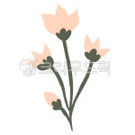 장식꽃, 일러스트꽃, 꽃일러스트, 꽃, 꽃줄기, 사진,이미지,일러스트,캘리그라피 - 완짱작가 크라우드픽 - 저작권 걱정 없는 상업용 이미지