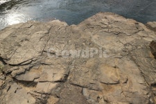 울산, 울주군, 대곡리, 공룡발자국, 화석, 사진,이미지,일러스트,캘리그라피 - 키르케작가 크라우드픽 - 저작권 걱정 없는 상업용 이미지