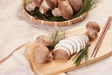 plant, 식물, 송화, 버섯, 요리, 사진,이미지,일러스트,캘리그라피 - umsss작가 크라우드픽 - 저작권 걱정 없는 상업용 이미지