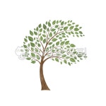 나무, 푸른나무, 풍성한나무, 나무일러스트, 푸른잎, 사진,이미지,일러스트,캘리그라피 - MIKADO작가 크라우드픽 - 저작권 걱정 없는 상업용 이미지