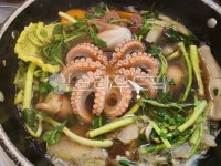 쭈꾸미, 활쭈꾸미, 쭈꾸미샤브샤브, 봄쭈꾸미, webfootoctopus, 사진,이미지,일러스트,캘리그라피 - skks작가 크라우드픽 - 저작권 걱정 없는... 