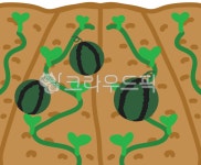 밭, 농장, 농장체험, 밭농사, 농사, 사진,이미지,일러스트,캘리그라피 - newzing작가 크라우드픽 - 저작권 걱정 없는 상업용 이미지