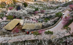 정자, 쉼터, outdoors, 옥외, nature, 사진,이미지,일러스트,캘리그라피 - 영산공작가 크라우드픽 - 저작권 걱정 없는 상업용 이미지