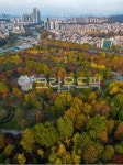 양재, 양재시민의숲, 매헌시민의숲, 가을, 단풍, 사진,이미지,일러스트,캘리그라피 - moonview작가 크라우드픽 - 저작권 걱정 없는 상업용 이미지