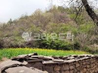 담, 꽃, 자연, 봄, 숲, 사진,이미지,일러스트,캘리그라피 - 포토7작가 크라우드픽 - 저작권 걱정 없는 상업용 이미지