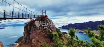 현수교, suspensionbridge, 나무, 바위, bridge, 사진,이미지,일러스트,캘리그라피 - skeleton1작가 크라우드픽 - 저작권 걱정 없는... 