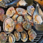 조개, seashell, 해양생물, 구이, 조개구이, 사진,이미지,일러스트,캘리그라피 - kaley작가 크라우드픽 - 저작권 걱정 없는 상업용 이미지