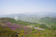 황매산, 철쭉, 꽃, 오토캠핑장, 산, 사진,이미지,일러스트,캘리그라피 - 멍한하루작가 크라우드픽 - 저작권 걱정 없는 상업용 이미지