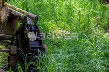 nature, 자연, 옥외, outdoors, 물레방아, 사진,이미지,일러스트,캘리그라피 - studio H작가 크라우드픽 - 저작권 걱정 없는 상업용 이미지