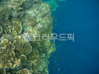 sea, 바다, ocean, 대양, water, 사진,이미지,일러스트,캘리그라피 - Moononthesea작가 크라우드픽 - 저작권 걱정 없는 상업용 이미지