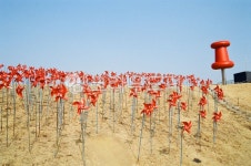 soil, 토양, 바람개비, 빨간색, 파주, 사진,이미지,일러스트,캘리그라피 - thdwl20640작가 크라우드픽 - 저작권 걱정 없는 상업용 이미지