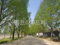 길, 도로, 푸른하늘, 힐링, 오막살이, 사진,이미지,일러스트,캘리그라피 - 크라우드띡작가 크라우드픽 - 저작권 걱정 없는 상업용 이미지