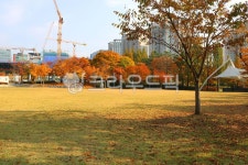 공원, 화랑공원, 휴식, 휴양지, 도시공원, 사진,이미지,일러스트,캘리그라피 - 청랑작가 크라우드픽 - 저작권 걱정 없는 상업용 이미지