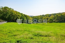 원당종마목장, 목장, 들판, 초원, 농장, 사진,이미지,일러스트,캘리그라피 - 메추리알작가 크라우드픽 - 저작권 걱정 없는 상업용 이미지