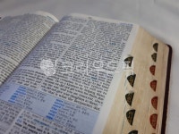 성경, 말씀, 기독교, 성경구절, text, 사진,이미지,일러스트,캘리그라피 - 얼그레이스콘작가 크라우드픽 - 저작권 걱정 없는 상업용 이미지