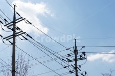 전신주, 전봇대, 전기, 에너지, 하늘, 사진,이미지,일러스트,캘리그라피 - Deep bLUE작가 크라우드픽 - 저작권 걱정 없는 상업용 이미지