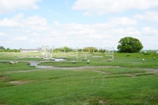 프랑스, 유럽, 농장, 양, 목장, 사진,이미지,일러스트,캘리그라피 - why870727작가 크라우드픽 - 저작권 걱정 없는 상업용 이미지