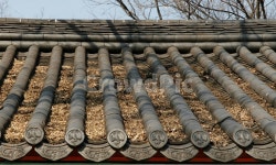 가을, 전통, 기와, 지붕, 낙엽, 사진,이미지,일러스트,캘리그라피 - 양기리작가 크라우드픽 - 저작권 걱정 없는 상업용 이미지