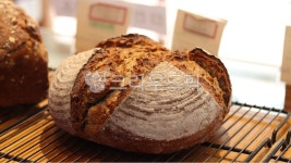 빵, 밀가루, 음식, 푸드, bread, 사진,이미지,일러스트,캘리그라피 - 앨리작가 크라우드픽 - 저작권 걱정 없는 상업용 이미지