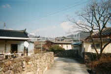 한국, 봉화마을, 시골, 필름카메라, 마을, 사진,이미지,일러스트,캘리그라피 - Nthakd8520작가 크라우드픽 - 저작권 걱정 없는 상업용 이미지