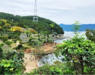 통영공원, 통영공원추천, 통원산책로, 나무, 초목, 사진,이미지,일러스트,캘리그라피 - 황금가지작가 크라우드픽 - 저작권 걱정 없는 상업용 이미지