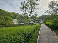 인천대공원, 공원, 풍경, 길, 야외, 사진,이미지,일러스트,캘리그라피 - 갈무리작가 크라우드픽 - 저작권 걱정 없는 상업용 이미지
