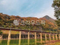 outdoors, 옥외, nature, 자연, bridge, 사진,이미지,일러스트,캘리그라피 - Hooni0652작가 크라우드픽 - 저작권 걱정 없는 상업용 이미지