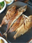 생선구이, 생선모듬구이, 고등어구이, 굴비, fish, 사진,이미지,일러스트,캘리그라피 - 콩쥐언니작가 크라우드픽 - 저작권 걱정 없는 상업용 이미지