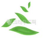 plant, 식물, 초록색, 풀잎, 잎, 사진,이미지,일러스트,캘리그라피 - 레몬쓰작가 크라우드픽 - 저작권 걱정 없는 상업용 이미지