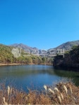 자연, 산, 하늘, 나무, 호수, 사진,이미지,일러스트,캘리그라피 - 디테작가 크라우드픽 - 저작권 걱정 없는 상업용 이미지