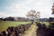 architecture, 건물, 목장, 농장, 제주, 사진,이미지,일러스트,캘리그라피 - Nqndn3tp작가 크라우드픽 - 저작권 걱정 없는 상업용 이미지