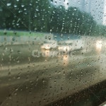 rain, 비, 비오는날, 비내리는날, 장마, 사진,이미지,일러스트,캘리그라피 - 찌웅웅작가 크라우드픽 - 저작권 걱정 없는 상업용 이미지