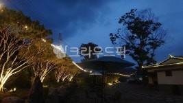 나무, 자연, 하늘, 구름, sunset, 사진,이미지,일러스트,캘리그라피 - ZENOP작가 크라우드픽 - 저작권 걱정 없는 상업용 이미지