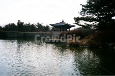경주, 안압지, 월지, 궁궐, 정원, 사진,이미지,일러스트,캘리그라피 - 달콤한 상상작가 크라우드픽 - 저작권 걱정 없는 상업용 이미지