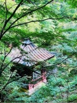 garden, 정원, 옥외, outdoors, 나무, 사진,이미지,일러스트,캘리그라피 - 겨울의추억작가 크라우드픽 - 저작권 걱정 없는 상업용 이미지