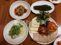 두부, 상추, 명이나물, 샐러드, 보쌈, 사진,이미지,일러스트,캘리그라피 - 에이스작가 크라우드픽 - 저작권 걱정 없는 상업용 이미지
