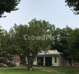 나무, 풍경, 여름, 초록, 펜션, 사진,이미지,일러스트,캘리그라피 - Nesder0901작가 크라우드픽 - 저작권 걱정 없는 상업용 이미지