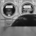 세탁소, 동전세탁소, 코인세탁소, 의자, chair, 사진,이미지,일러스트,캘리그라피 - rakiiiipic작가 크라우드픽 - 저작권 걱정 없는 상업용... 