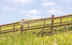 목초지, 목장, meadow, outdoors, 자연, 사진,이미지,일러스트,캘리그라피 - 수리산호랑이작가 크라우드픽 - 저작권 걱정 없는 상업용 이미지