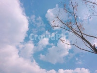 하늘, 푸른하늘, azuresky, sky, 자연, 사진,이미지,일러스트,캘리그라피 - Nhikang08작가 크라우드픽 - 저작권 걱정 없는 상업용 이미지