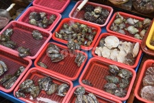 해산물, 해물, 시장, 수상시장, 영덕, 사진,이미지,일러스트,캘리그라피 - 여행작가봄비작가 크라우드픽 - 저작권 걱정 없는 상업용 이미지