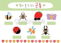 곤충, 봄, 봄곤충, 거미, 벌, 사진,이미지,일러스트,캘리그라피 - 은이쌤작가 크라우드픽 - 저작권 걱정 없는 상업용 이미지