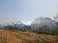 농사, 비닐하우스, 비닐하우스여러개, 텃밭, 주말농장, 사진,이미지,일러스트,캘리그라피 - Ndidwbd작가 크라우드픽 - 저작권 걱정 없는 상업용... 