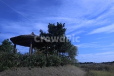 푸른, 하늘, 구름, 정자, 나무, 사진,이미지,일러스트,캘리그라피 - anordinary작가 크라우드픽 - 저작권 걱정 없는 상업용 이미지